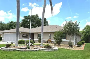 6433 Wilander St, Leesburg, FL 34748 - Photo 1