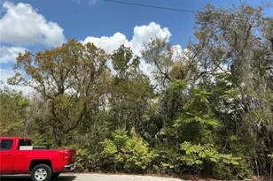 Ash Pass Run, Ocala, FL 34472 - Photo 1