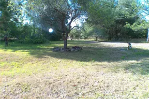 Sequoia Dr Trace, Ocklawaha, FL 32179 - Photo 1