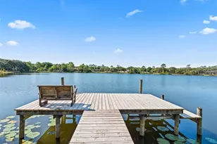 214 Fisher Run, Ocklawaha, FL 32179 - Photo 1
