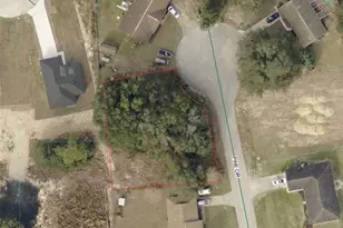 Pine Circle, Ocala, FL 34472 - Photo 1