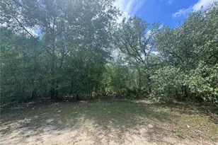 11548 NE 62nd Ln, Williston, FL 32696 - Photo 1
