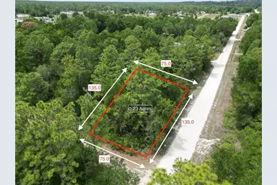 Tbd SW 31st Pl, Ocala, FL 34481 - Photo 1
