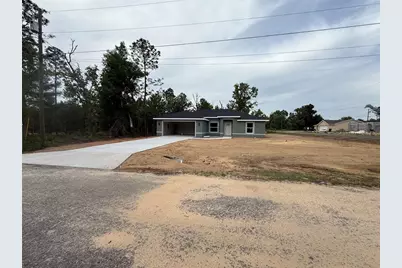 3 Guava Place Drive, Ocklawaha, FL 32179 - Photo 1