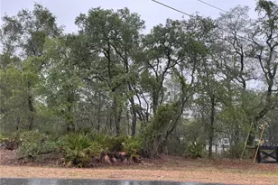10353 Meadow Wren Ave, Weeki Wachee, FL 34613 - Photo 1