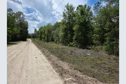 0000 NE 73rd Lane, Bronson, FL 32621 - Photo 1