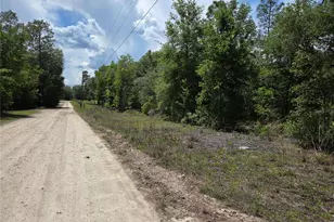 0000 NE 73rd Ln, Bronson, FL 32621 - Photo 1