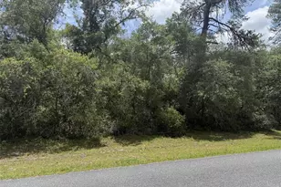 Tbd SW 29th Terrace Rd, Ocala, FL 34473 - Photo 1