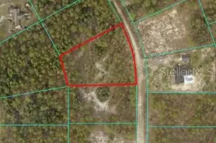 5980 SW 127th Ave Rd, Ocala, FL 34481 - Photo 1
