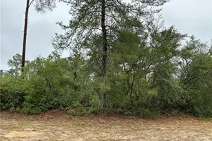 SW 20th Ct, Ocala, FL 34473 - Photo 1