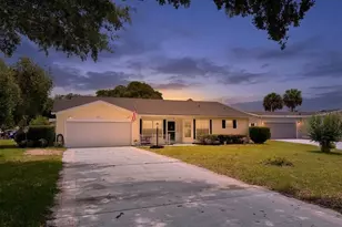 25510 Belle Alliance, Leesburg, FL 34748 - Photo 1