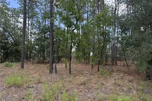 NW Buena Vista Rd, Dunnellon, FL 34431 - Photo 1