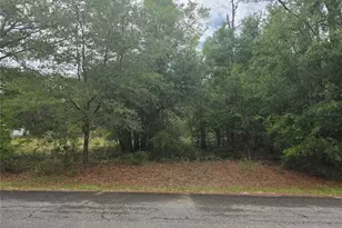 SW 202nd Ct, Dunnellon, FL 34431 - Photo 1
