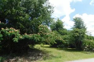 0 NW 66th St, Ocala, FL 34475 - Photo 1