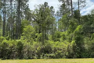 4365 Vicki St, Hastings, FL 32145 - Photo 1