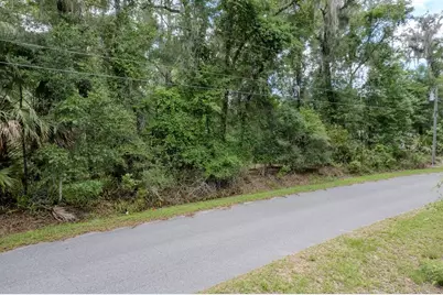 Lot 6 SW 186 Circle, Dunnellon, FL 34432 - Photo 1