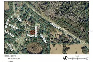 Locust Circle Ln, Ocala, FL 34472 - Photo 1