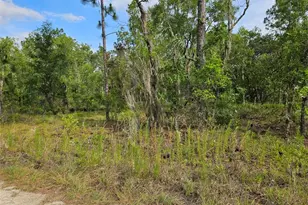 Tbd NE 12th Ln, Williston, FL 32696 - Photo 1