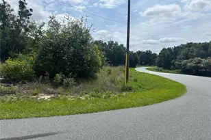 Tbd Larch Course Terrace, Ocala, FL 34480 - Photo 1