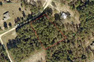 Tbd Lot 17 SW 41st Pl, Ocala, FL 34481 - Photo 1