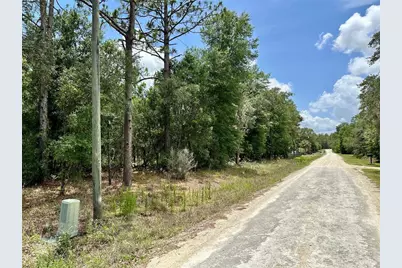 00 SW 98th Street, Dunnellon, FL 34432 - Photo 1