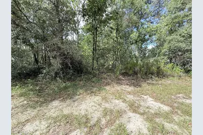 Tbd SW 65th Avenue Road, Ocala, FL 34473 - Photo 1