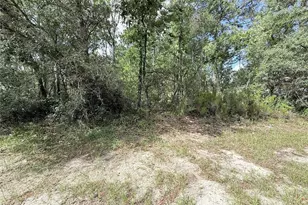 Tbd SW 65th Ave Rd, Ocala, FL 34473 - Photo 1