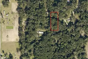 3069 NW 151st Pl, Reddick, FL 32686 - Photo 1
