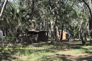 10415 NE 142nd Pl, Fort Mc Coy, FL 32134 - Photo 1