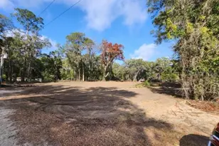 Lot 13 SE 131st Pl, Belleview, FL 34420 - Photo 1