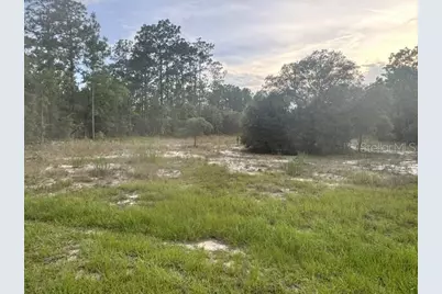 Vacant Land SW Mineola Lane, Dunnellon, FL 34431 - Photo 1