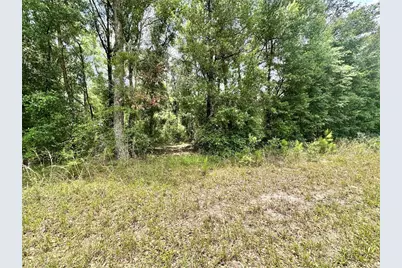 County Road 349 N., O'Brien, FL 32071 - Photo 1