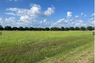 Tbd 54 Loop, Ocala, FL 34482 - Photo 1