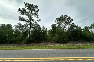 9191 NE 80th St, Bronson, FL 32621 - Photo 1