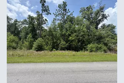 Tbd SW 59th Lane, Dunnellon, FL 34431 - Photo 1