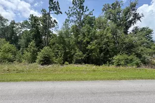 Tbd SW 59th Ln, Dunnellon, FL 34431 - Photo 1
