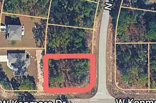 7872 N Primrose Dr, Citrus Springs, FL 34434 - Photo 1