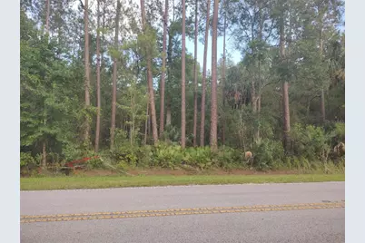 Ne Hwy 314 Highway NE, Silver Springs, FL 34488 - Photo 1