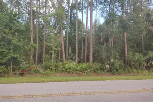 NE Hwy 314 Hwy NE, Silver Springs, FL 34488 - Photo 1