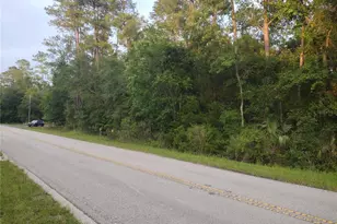 NE Hwy 314 Hwy NE, Silver Springs, FL 34488 - Photo 1
