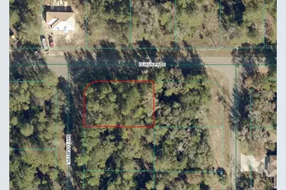 00 Guava Pass, Ocklawaha, FL 32179 - Photo 1