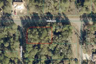 00 Guava Pass, Ocklawaha, FL 32179 - Photo 1