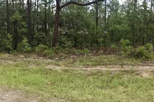 00 SW 69 Pl, Ocala, FL 34481 - Photo 1