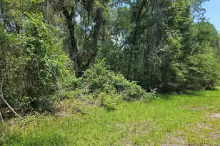 1582 Derby Dr, Dunnellon, FL 34434 - Photo 1