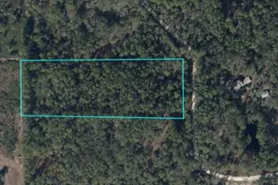 Tbd SE 91st Trail, Trenton, FL 32693 - Photo 1