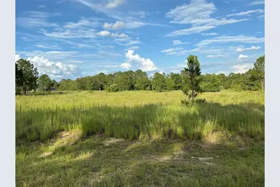 Maple Ln Way, Ocklawaha, FL 32179 - Photo 1