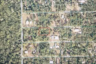 Tbd NE 201st Pl, Fort Mc Coy, FL 32134 - Photo 1