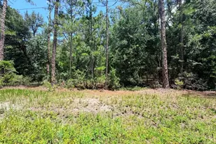 0 NE 132nd Pl, Citra, FL 32113 - Photo 1