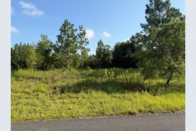 Se 35th Street, Morriston, FL 32668 - Photo 1