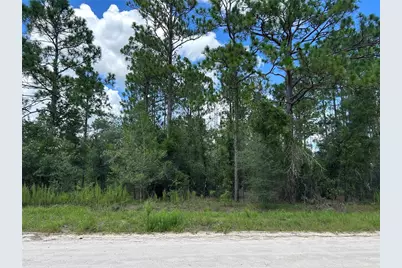 0000 SE 25th Street, Morriston, FL 32668 - Photo 1